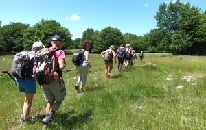 DIMANCHE RANDONNEE PIQUE NIQUE ST CYR DE VALORGES - JUIN 2025
